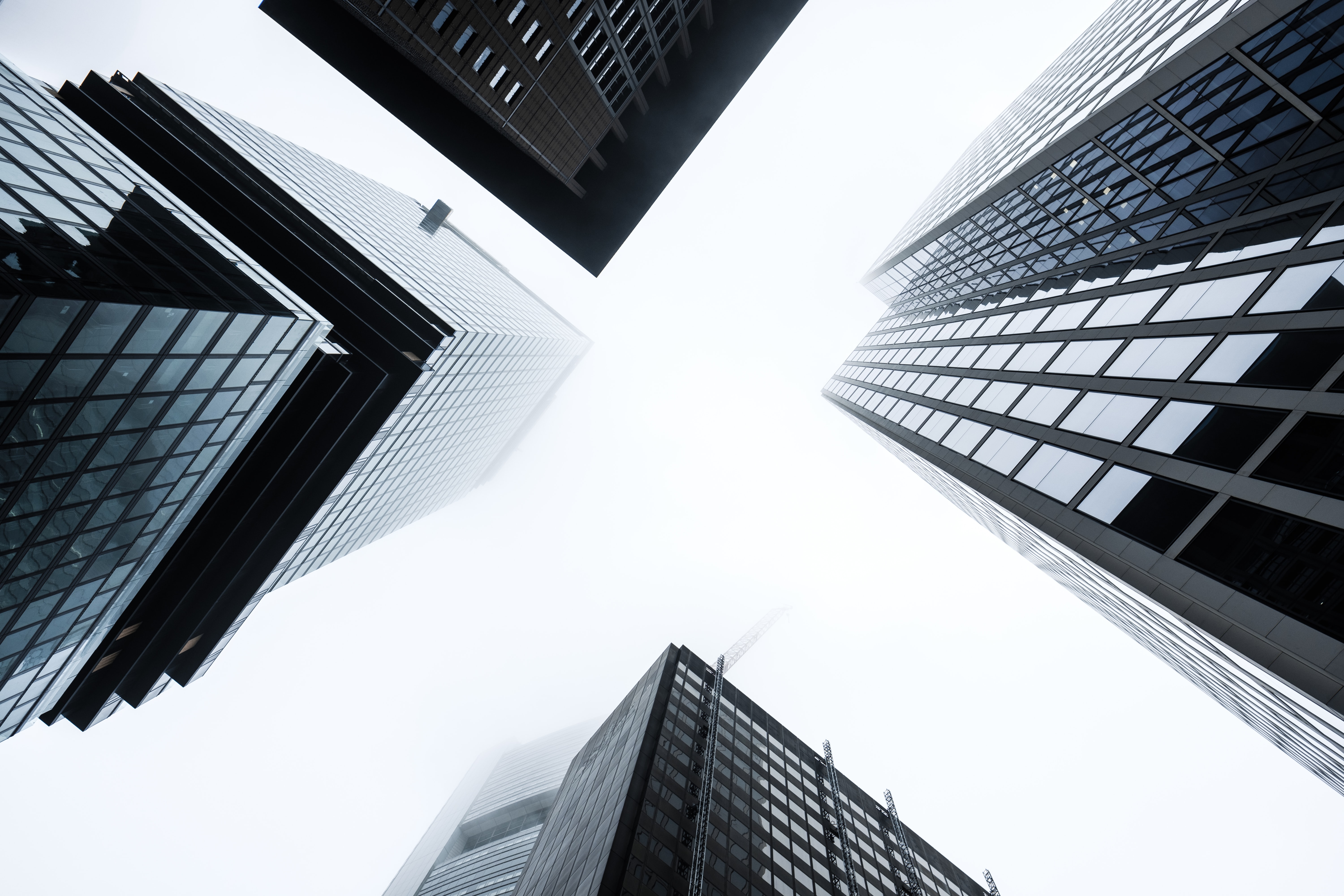 <p>Skyscrapers in the morning fog.</p>