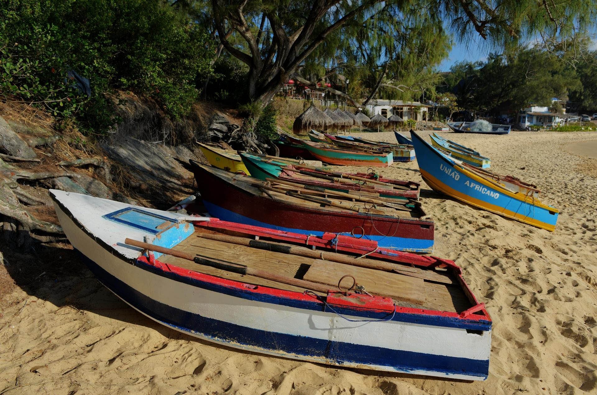 Row of colorful wooden fishing boats resting on a sandy beach near trees and thatched huts.