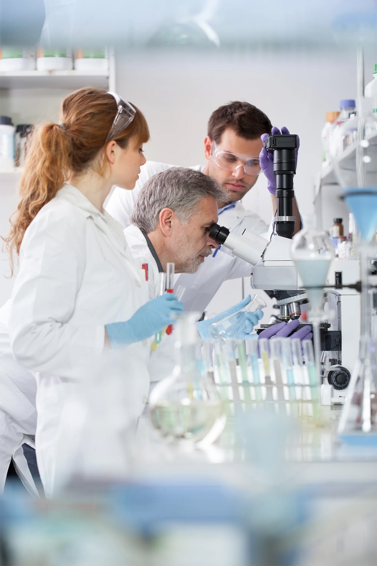Group of scientists working with microscopes and test tubes in a laboratory.