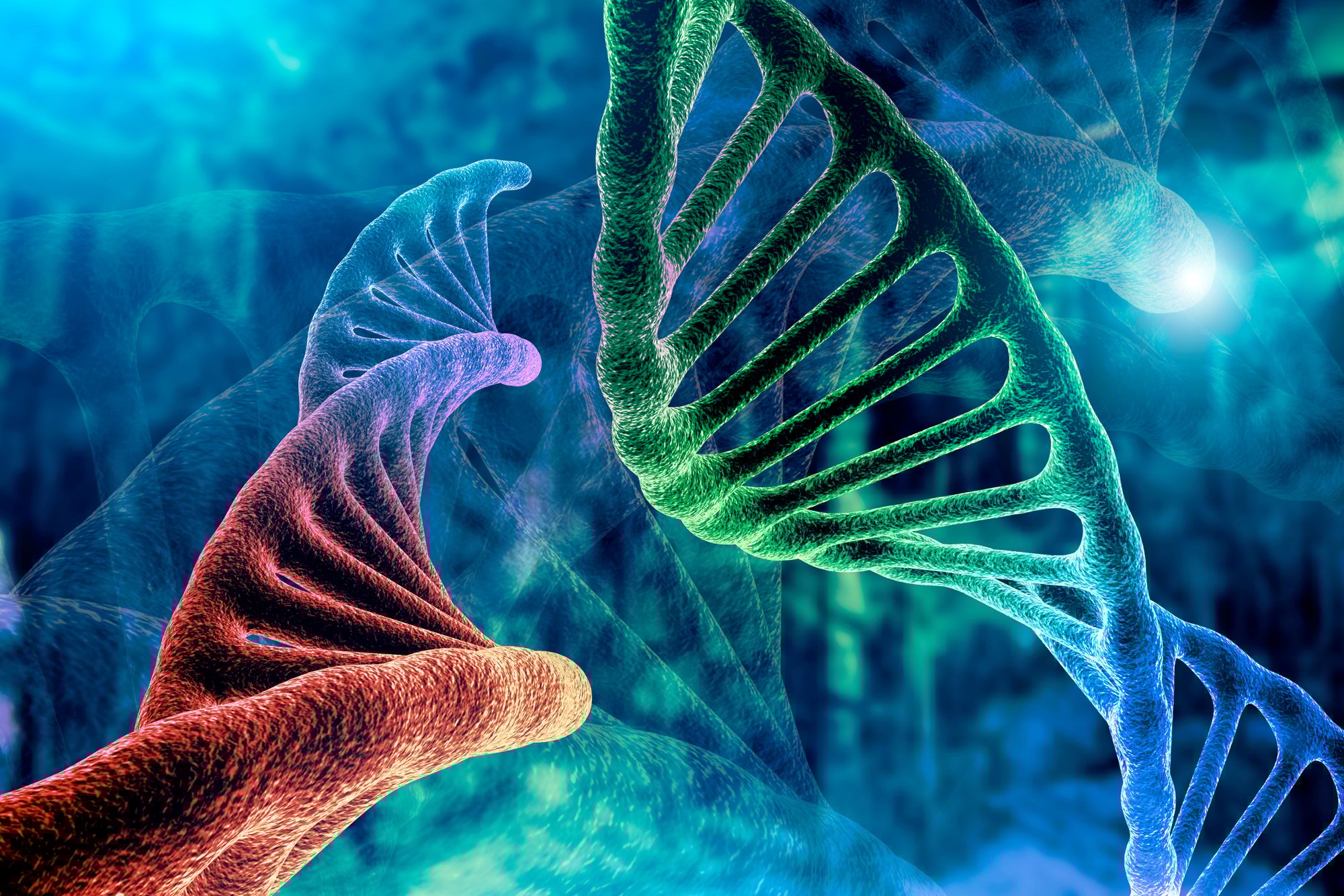 dna-strand