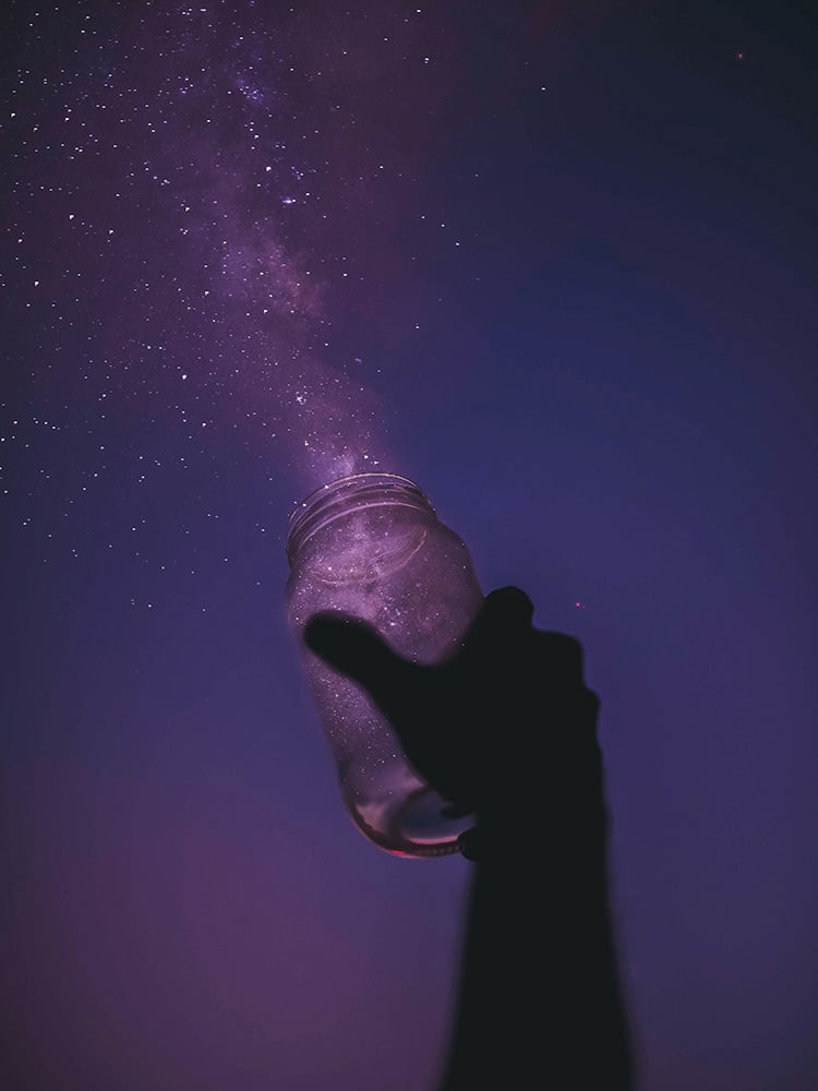 javardh-2q6c5zdjosg-unsplash